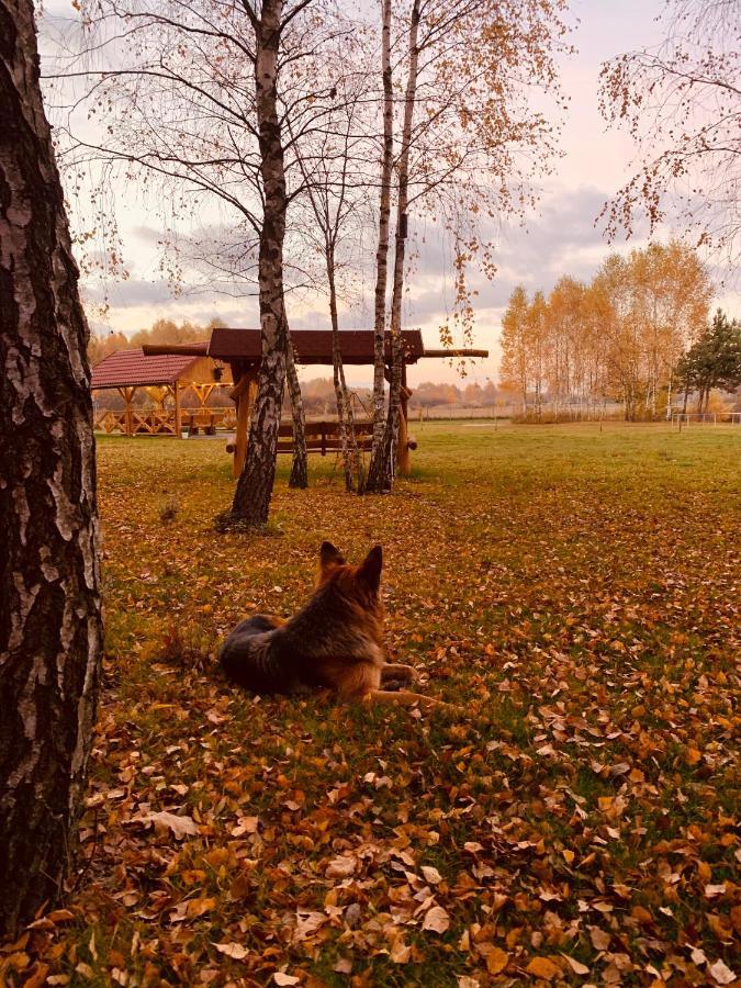 Rajskie Siedlisko Smykow Exteriér fotografie